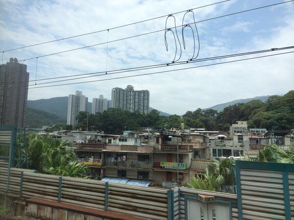 Alvis Leung tweet media