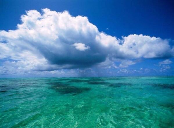 Alex_Verbeek's tweet photo. John Kerry launches global effort to save world's #oceans http://t.co/HIyOftLOR3 http://t.co/idEttbCaxM