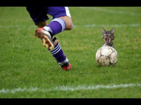 Jour J pour la #CoupeDuMonde  bit.ly/1kpqxxz