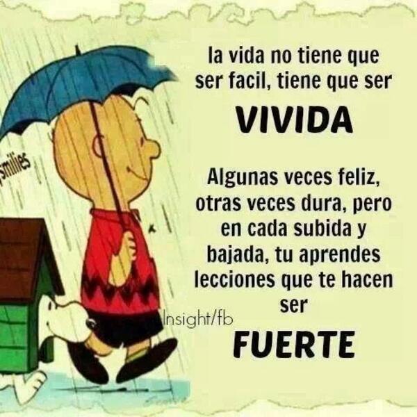 Samuel Ruiz (@samuel71pr) on Twitter photo 