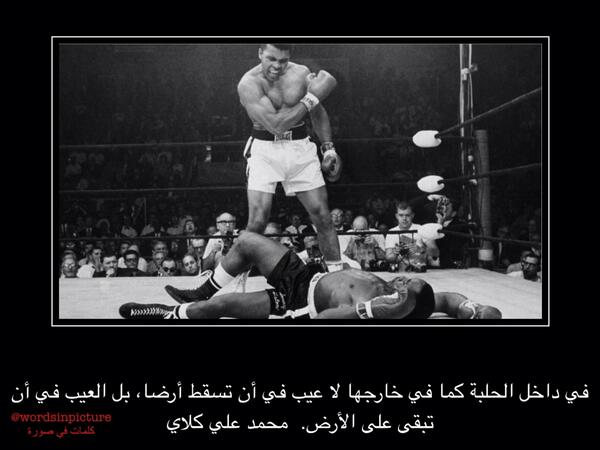 في داخل الحلبة كما في خارجها لا عيب في أن تسقط أرضا، بل العيب في أن تبقى على الأرض.