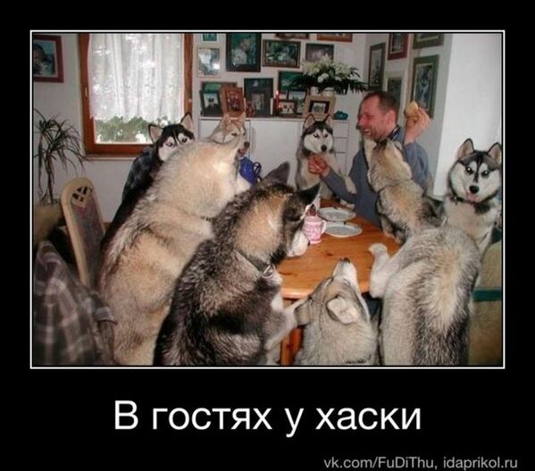 Artem576p8's tweet photo. http://t.co/WGmqXle0Nn