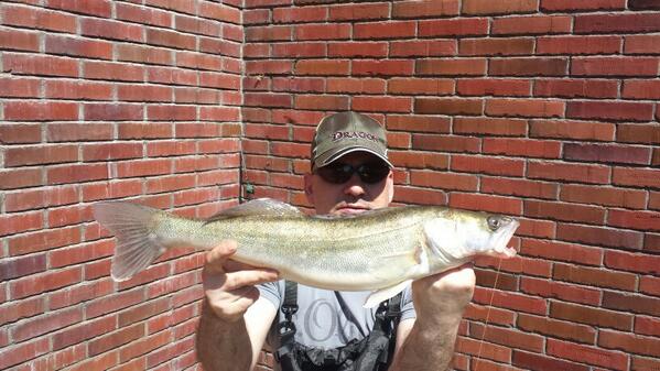 Schöner City-Stachel