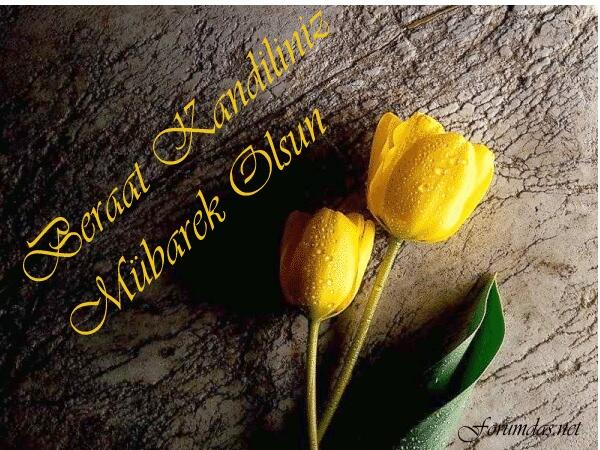 Hayırlı kandiller...Hemşehrilerim