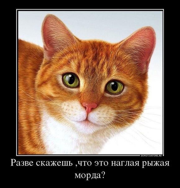 EgorW6L's tweet photo. http://t.co/WJLP4uErDd