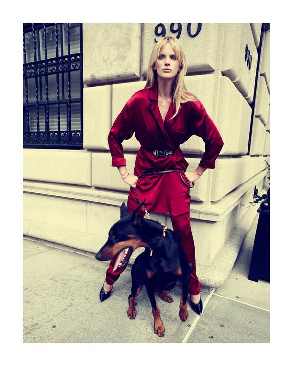 AnneV tweet picture