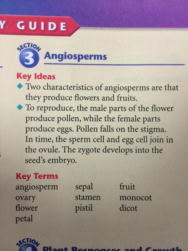 msscience8's tweet image. Vocab sec 2