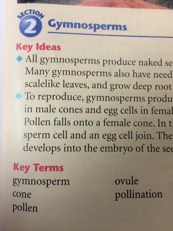 msscience8's tweet image. Vocab for quiz