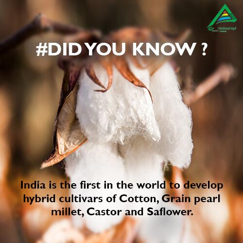 CrystalCrop's tweet photo. India occupies a very important place in the history of cotton industry. http://t.co/OkSxTwAFkN