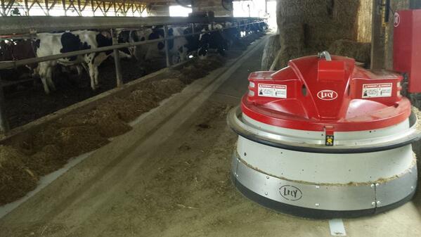 Another juno added to the family! #livelifelely