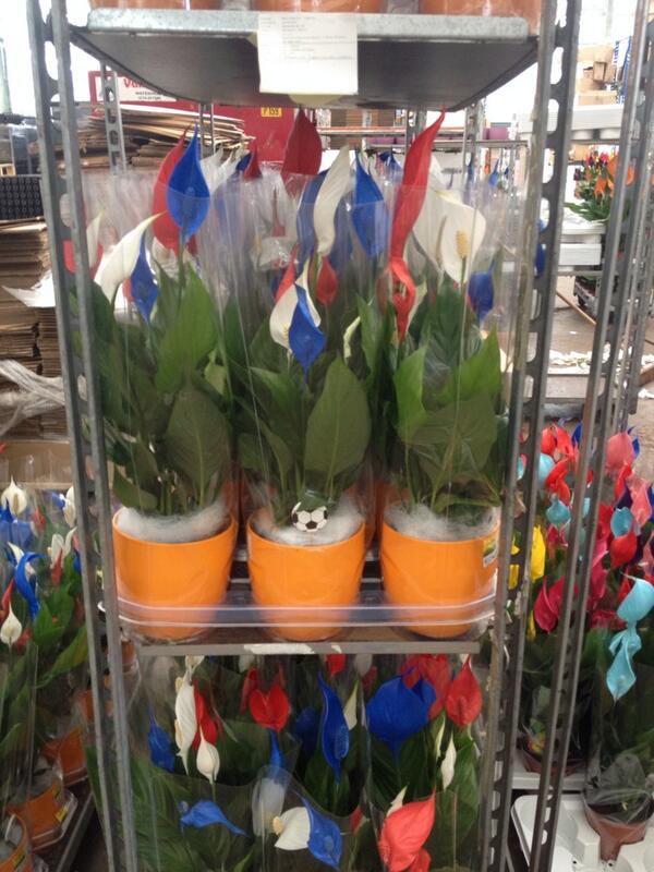 Wij zijn helemaal in de Wk stemming!!! U ook?