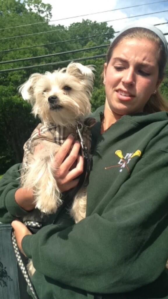perrycat_tweets's tweet photo. Happy birthday to McKenna, who gives me baths and takes me on walks. I woof you forever ❤️🐶 @smackk26 http://t.co/N696P3pZzf