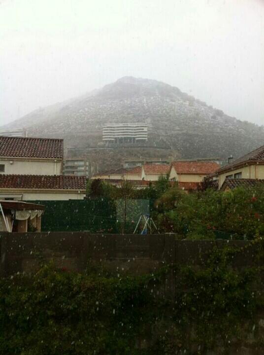 Ver imagen en Twitter