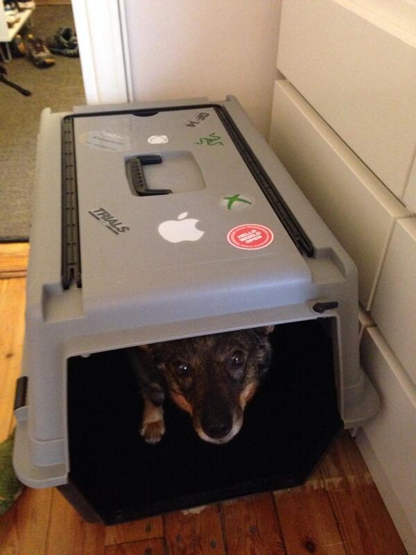 ksilvennoinen's tweet image. #TeamDoge came home from @HelloWorldOpen with just stickers but the pit crew is planning for the next year. #hwo2014