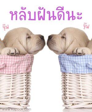 MoskieJa's tweet photo. Good night #จุ๊ฟปิ้ง#>o< http://t.co/FQKzTmfUJM