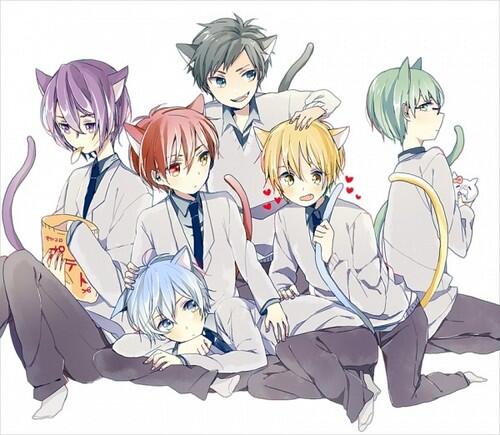 ShionsTear's tweet image. A neko special OVA would be awesome. °^°
#RandomIdea