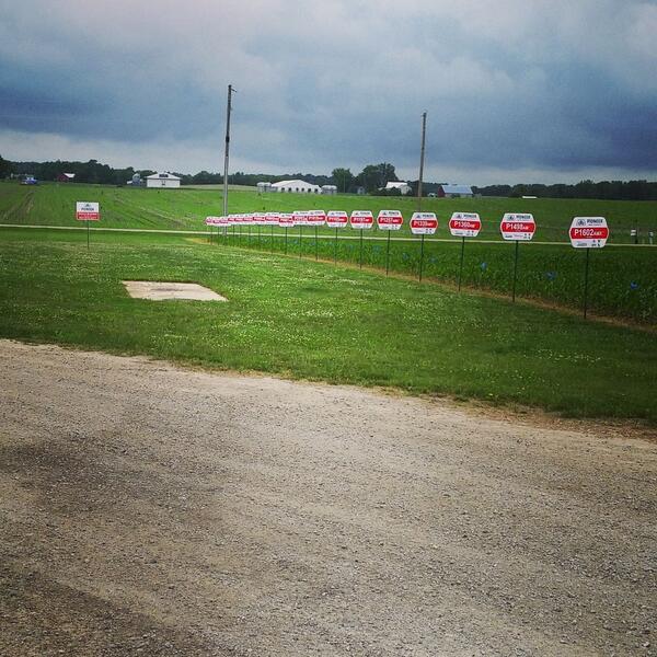 brubaker_1's tweet image. #cornplot signed