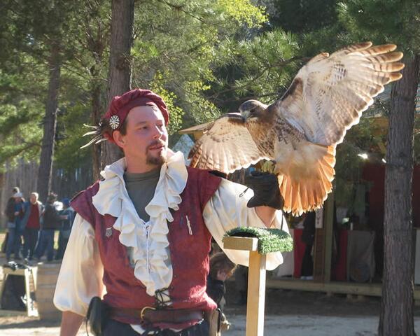 The Sky Kings Falconry program will be visiting Bastrop Public Library 2-4pm today! This event is fun for all ages!