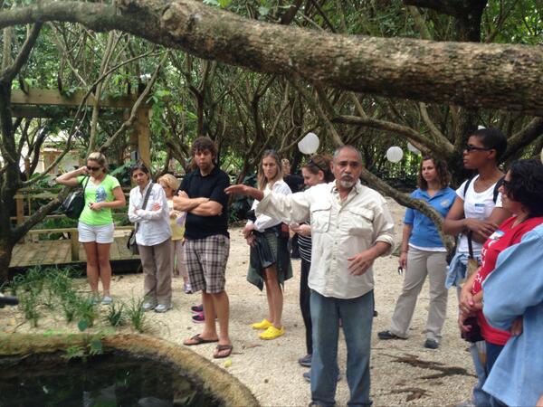 DadeCountyAg's tweet photo. Michael, owner of @redlandkoi gave teachers a tour of his Koi gardens #agriculture #miamiscountryside http://t.co/AHdWExjodr