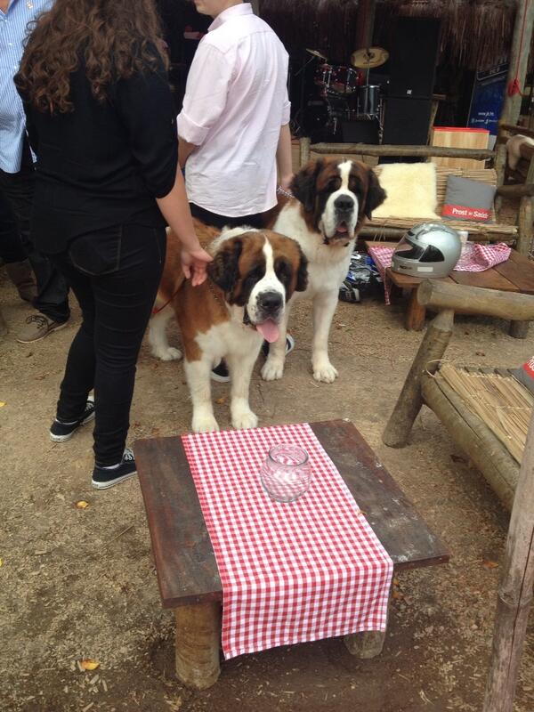 #autrebresil Si si, le Brésil on vous dit!