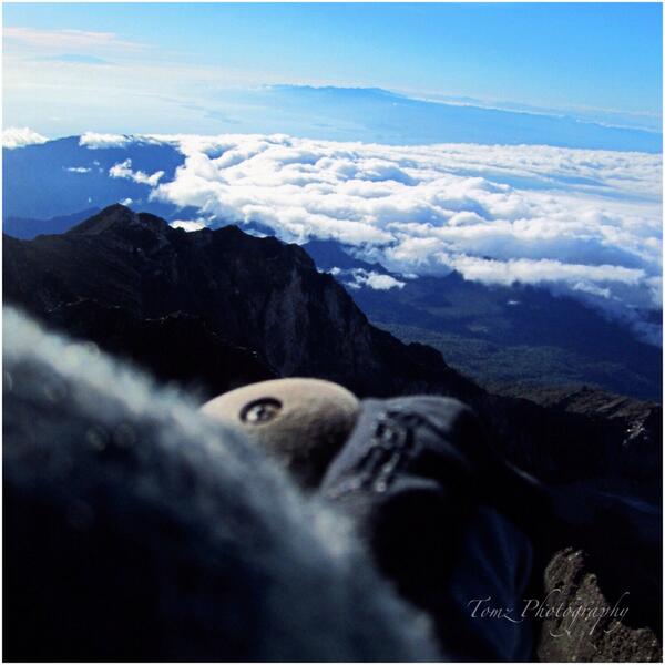 infopendaki's tweet photo. RT @moch_tommy: #SharePict #ADVpic #HamparanAwan Mt. Rinjani http://t.co/j6dCXbpNDH