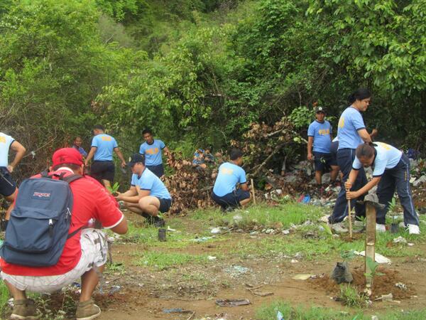 dingrasmps06's tweet photo. @pnppro1 Personnel of Dingras MPS joined on tree planting activity in celebration of the 116th Phil. Independence Day http://t.co/9oufhD98As