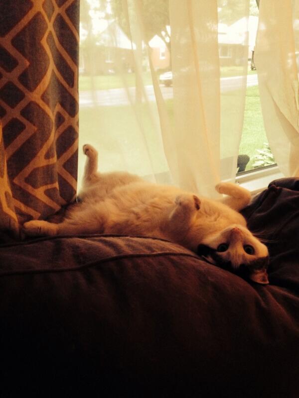 RubyandLavon's tweet image. Relax.