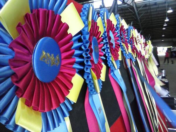 RockingDA's tweet image. Loving it her at Pinto World!!!