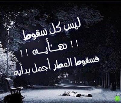 sadl12 tweet picture