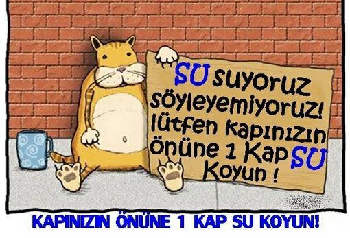 BilgininAnahtar's tweet photo. Duyarlı olalım.. http://t.co/cRYJc4rGLh
