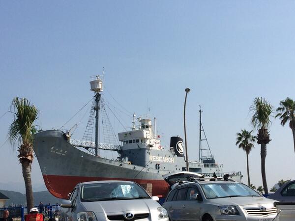 chiho24's tweet photo. 太地に到着〜 http://t.co/NPV7fRYP6G