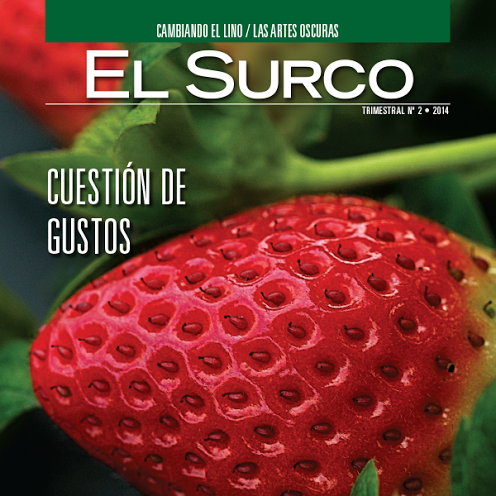 JohnDeereMexico's tweet image. ¿Ya conoces la revista El Surco? Llega a más de 46,000 agricultores en México. bit.ly/1jIAGVx