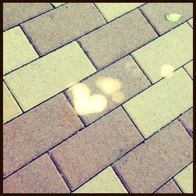 ジョギング中に可愛い木漏れ日を発見。みんなにも、幸せのおすそわけ♡ http://t.co/HLblLG7WRq