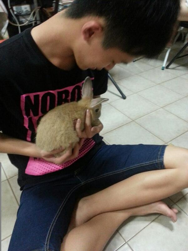 Embedded image permalink