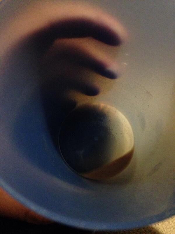 horsemorph's tweet image. why must all good things come to an end?