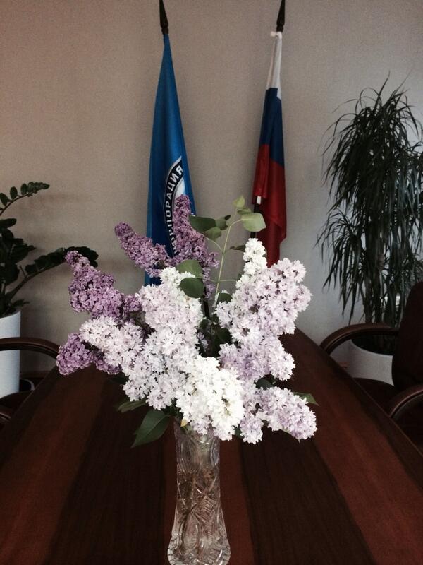 rtavia's tweet image. Люблю сирень