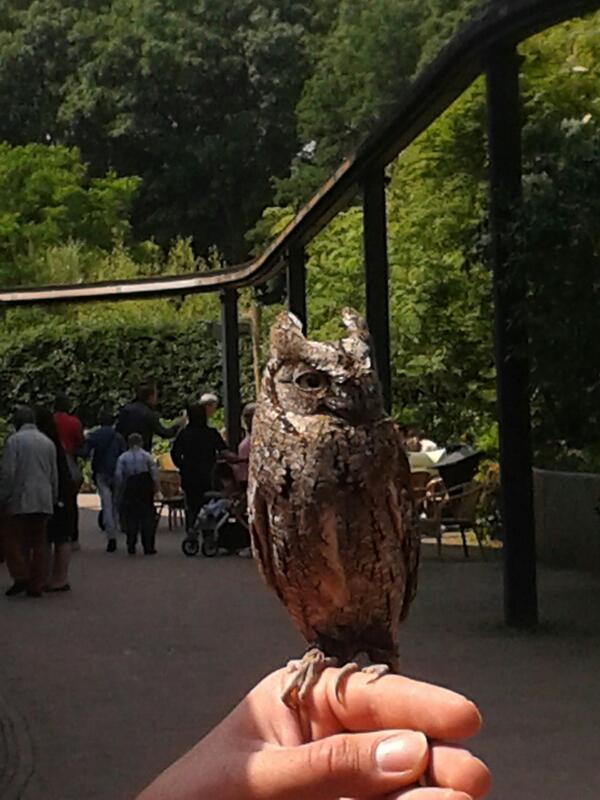 stackwoodmarcus's tweet image. Ooc: I love this pic I took!