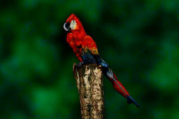 DarioJimeno's tweet photo. Increíbles fotos Rt si sabeis lo que hay en cada una http://t.co/IwDKNSVxKA