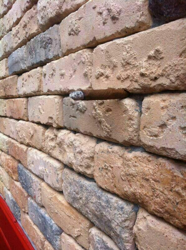 DarioJimeno's tweet photo. Increíbles fotos Rt si sabeis lo que hay en cada una http://t.co/IwDKNSVxKA