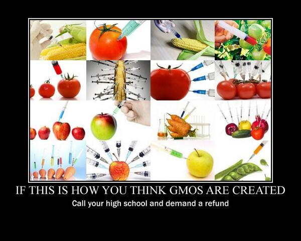 AgBioWorld's tweet image. If you think this is how GMO is made.....

Credit: Henry Van Der Vaartenburp