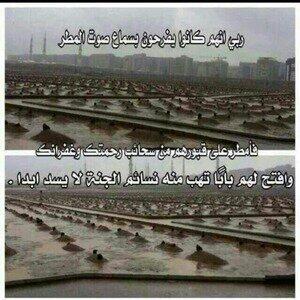 amomera's tweet photo. http://t.co/LDHgjyfXp4