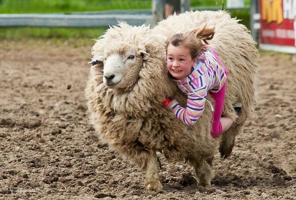 Gabriele Corno tweet media