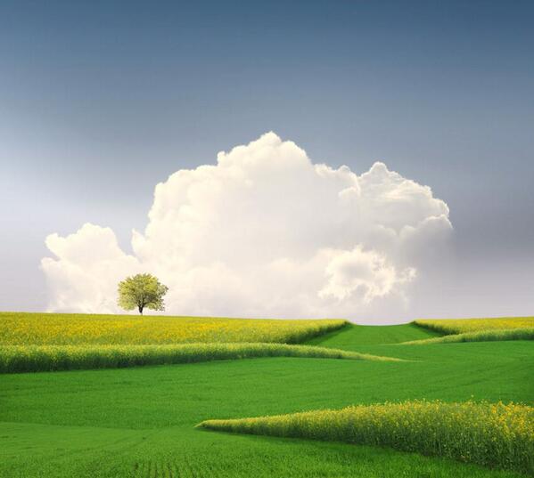 The green mile........ by Caras Ionut #Heaven #inspirational #CGE #hope