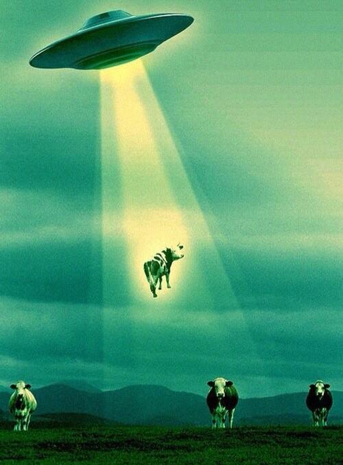 Opiumtv's tweet image. 