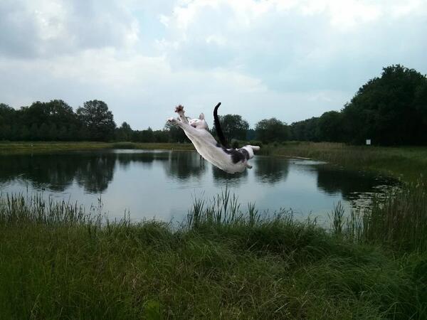 Having fun with Subliminl goo.gl/uLH7zY