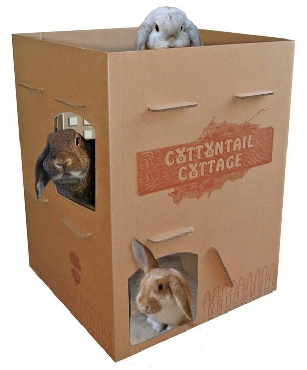 catsrabbitsmore's tweet photo. Want to see a happy bunny? Get him a Cottontail Cottage! http://t.co/6gwRetw4xl http://t.co/KeT7PbyQU1