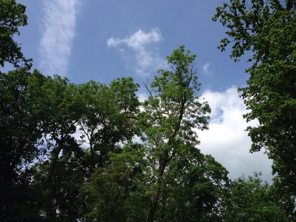 The sun is finally out <a href="/KHTheatre/">Kilworth House Theatre</a> were all loving it #southpacific