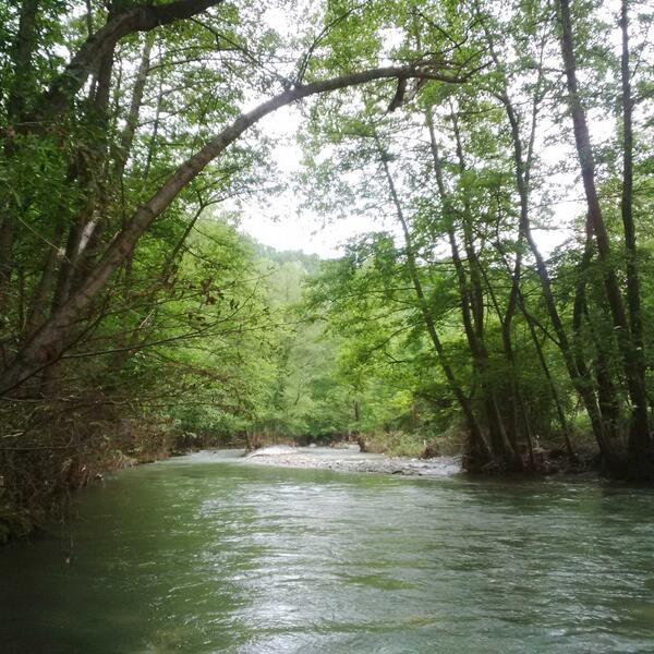 voja964's tweet image. #spoj neunistoive prirode i ovozemaljskog #gradac