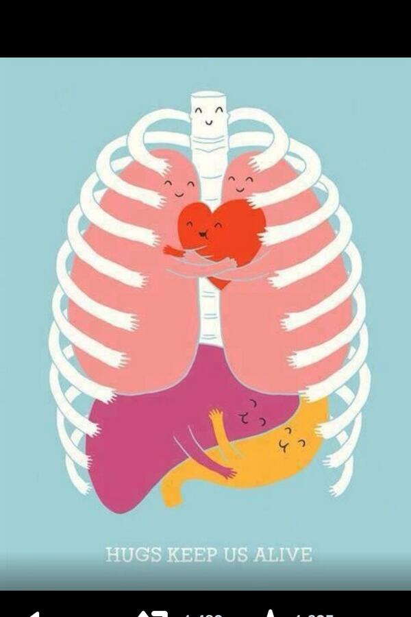 ThatSleepDoc's tweet image. They never explained it like this in gross anatomy.