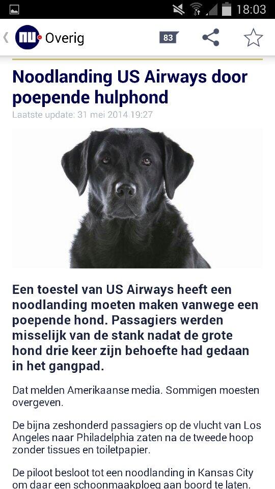 Tim_Houben's tweet photo. Nieuwswaarde artikelen #nu.nl blijft maar stijgen. http://t.co/zBe3qYZa3M
